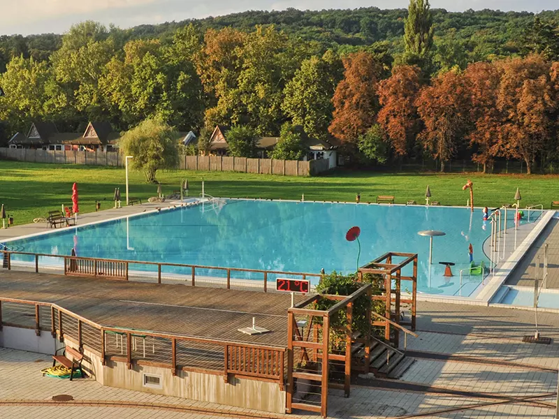 Family Pool