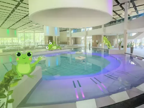 BÉKAlandok, nem csak békarajongóknak